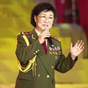 解放军同志请你停一停