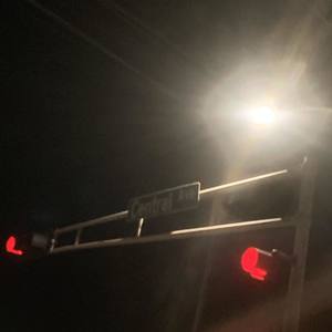 Bloody Birds (Explicit)