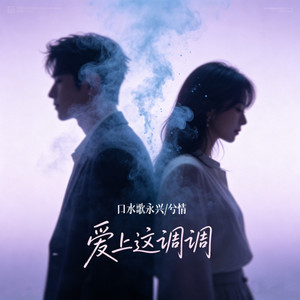 爱上这调调 (深情对唱版)封面