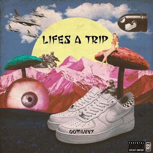 Lifes A Trip (Explicit)