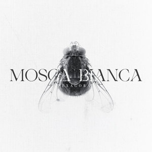 Mosca Bianca (Explicit)