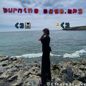 burning sage.mp3 (Explicit)