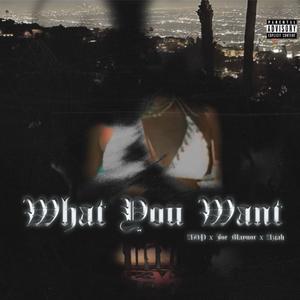 What You Want (feat. Joe Maynor & Azjah) [Explicit]