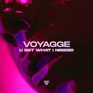 U Got What I Needed (Extended)