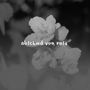 I've Started Courtin'