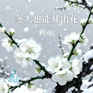 冬天也能开出花