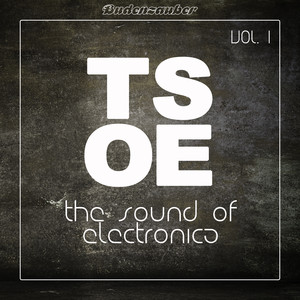 TSOE (The Sound of Electronica) , Vol. 1