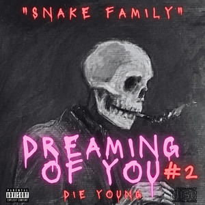 Dreaming of You 2 (Explicit)