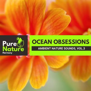 Ocean Obsessions - Ambient Nature Sounds, Vol.3