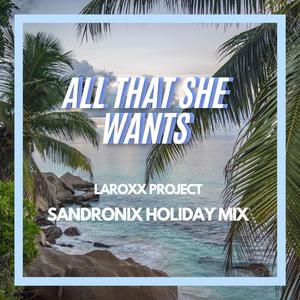 All That She Wants (SandroniX Holiday Mix)