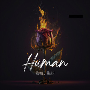 Human (Explicit)