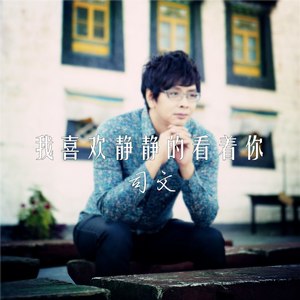司文 - 我喜欢静静的看着你 (精致版)
