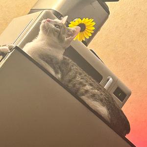 brag about me (Explicit)