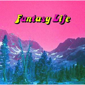 Fantasy Life