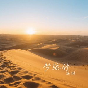 林栖 - 梦驼铃 (深情版)