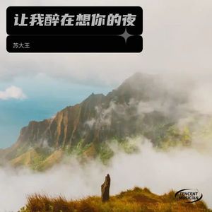 让我醉在想你的夜