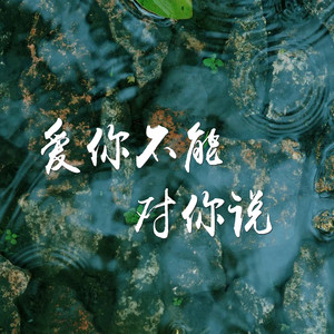 爱你不能对你说 (对唱版)