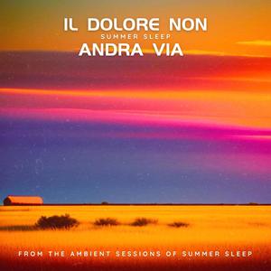 Il Dolore Non Andra Via