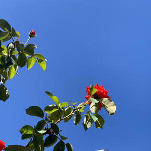 Dias de um Passado Futuro (feat. Claudio D2U) (Explicit)