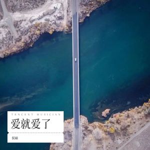 爱就爱了封面