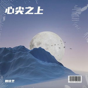 魏佳艺《心尖之上》[MP3_LRC]_MP3免费下载