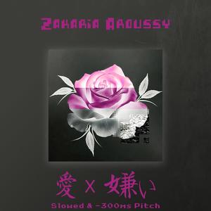 Love or Hate (Slowed Version)