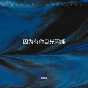 岁月安宁 - 凌芮花封面