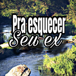 Pra esquecer seu ex (Explicit)