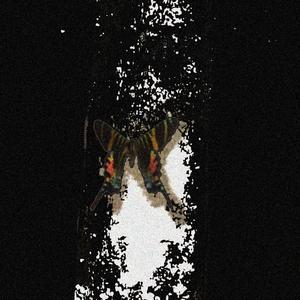 IFORGOT (PR. ASDFJKED + LILJAN + ARRANT) (Explicit)