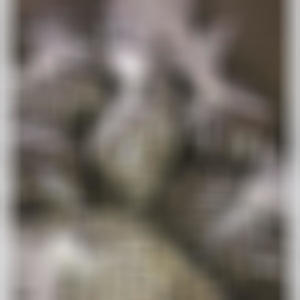 Bigger Pops (feat. Smb Joe & Jlow) (Explicit)