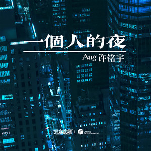 一个人的夜