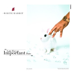 Intro White Rabbit