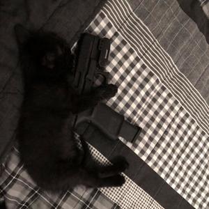 Catpiss (Explicit)