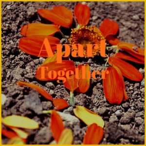 Apart Together