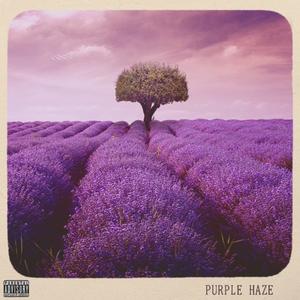 Purple Haze (Explicit)