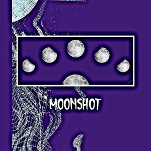 Moonshot