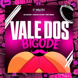 Vale Dos Bigode (Explicit)