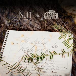 Mielcita de algarrobo