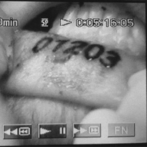 ZERO DWANA ZERO TRZY (Explicit)