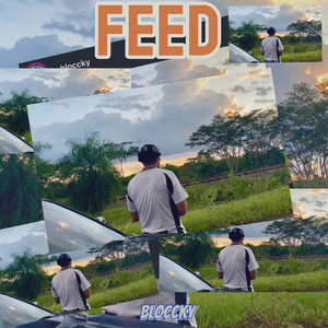 Feed (Explicit)