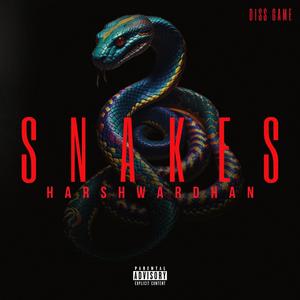 SNAKES (Explicit)