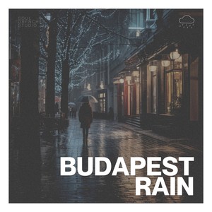 Budapest Rain