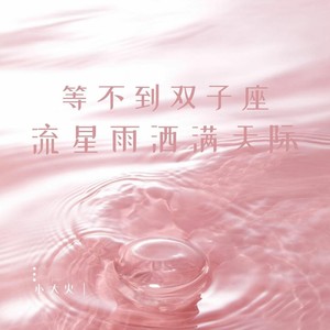 等不到双子座流星雨洒满天际