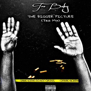 Bigger Picture (Tea Mix) [Explicit]