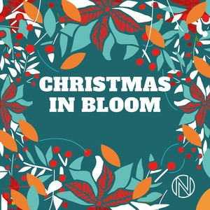 Christmas In Bloom