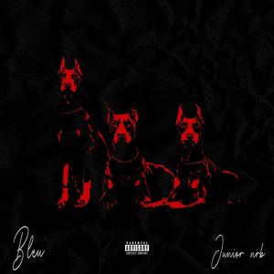 Dogpound (feat. Junior NRB) [Explicit]