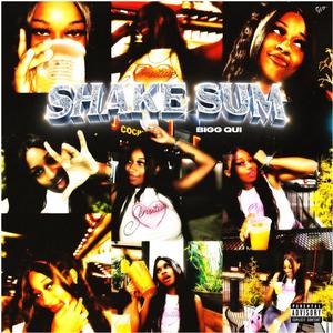 Shake Sum (That's Cool) [Explicit]