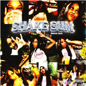 Shake Sum (That's Cool) (Explicit)