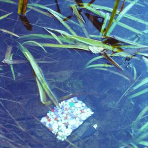 Feela.live(feat. Vera Much)