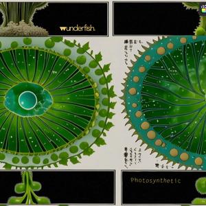 Photosynthetic